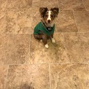 Kelley Watts's photo