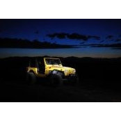 Craig Strickland's photo