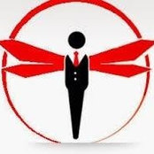 SnapDragon Associates, LLC.'s photo