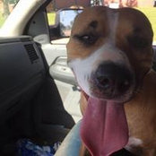 Jason Pelafigue's photo