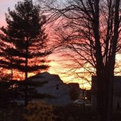 Debbie Triptow's photo