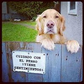 Rene Reno's photo