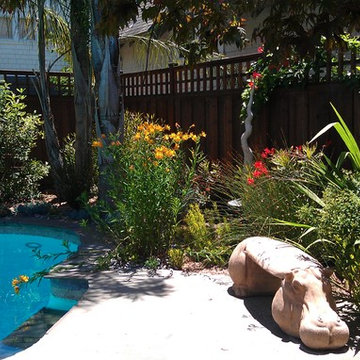 Santa Cruz Colibri House
