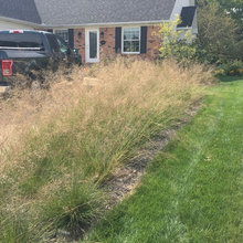 Rain Gardens
