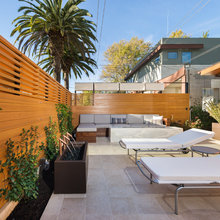 palacios yard