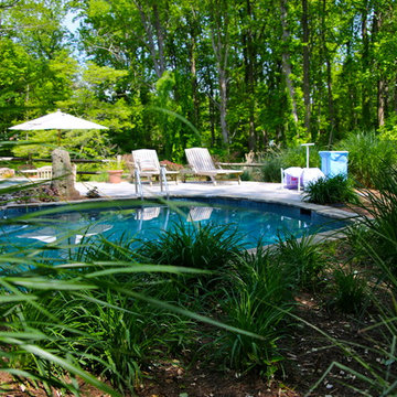 Pools Renovations by Stewart Landscape