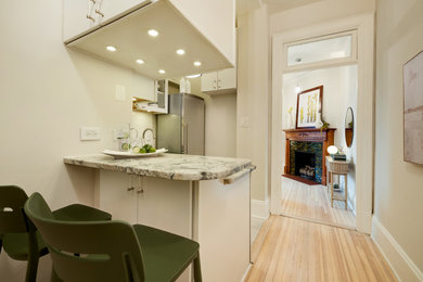 Example of a kitchen design in DC Metro
