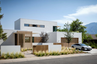 Modern exterior home idea in Denver