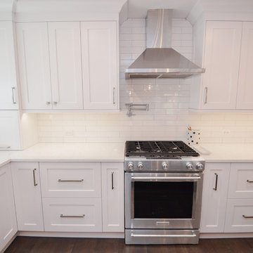 Forever Home First Floor Remodel in Mount Prospect