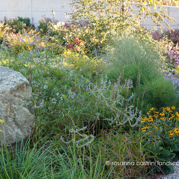 Un giardino collinare in stile Dutch Wave