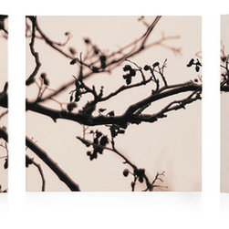 Cherry Branch - Artwork