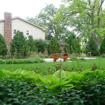 Privacy Screening Using Green Arborvitae Walls