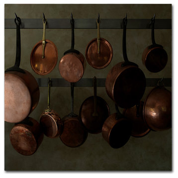 Geoffrey Ansel Agrons 'Hanging Copper' Canvas Art, 14x14