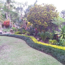 Landscape Ideas