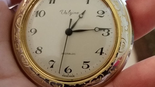 Valgine Watch Company Outlet, 57% OFF 