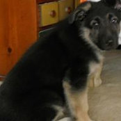 Foto von Janet Phillips Jones