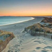Tracey Tomko's photo