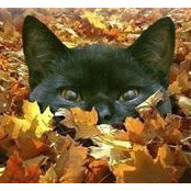 Laurie Bell's photo
