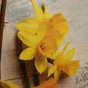 Andrea Bratcher's photo