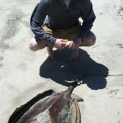 Stephen Lynch's photo
