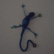 Karl Dionne's photo