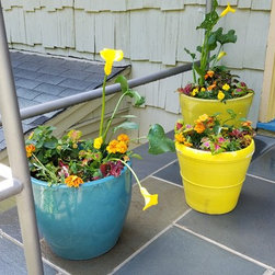 Season Flowers - Products