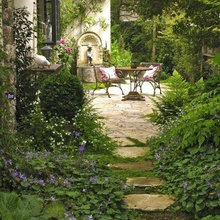 Patio Ideas