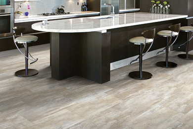 Example of a vinyl floor kitchen design in Other