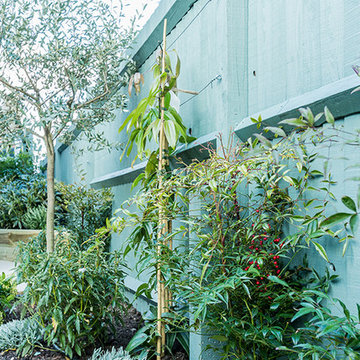 Cricklewood Garden