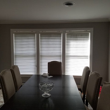Shear Window Coverings