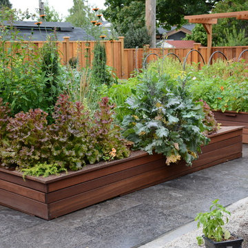 Raised Vegetable / Ornamental Garden