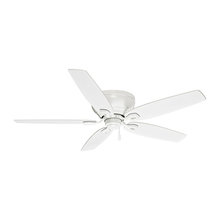 Matthew's fans/ chandeliers