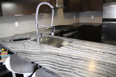 Inspiration for a contemporary home design remodel in Toronto