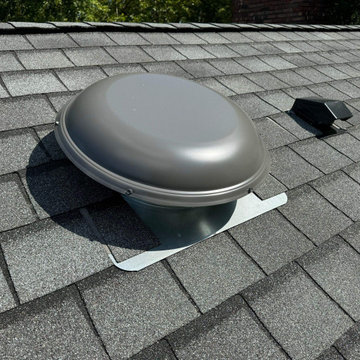 SPECIAL ORDER EXPENSIVE SHINGLES
