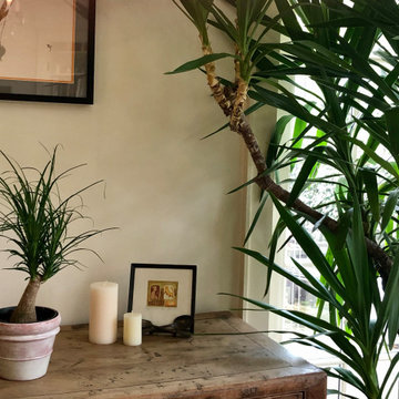 Pony and yucca