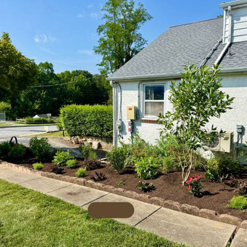 Thoughtful Planting Brings Natural Beauty to a Malvern Corner Home