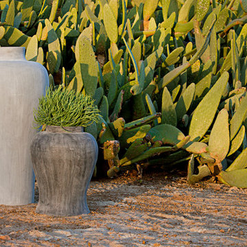 Ming Vase & Ginger Jar