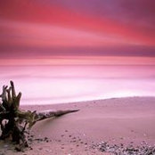Sharon Pettus's photo