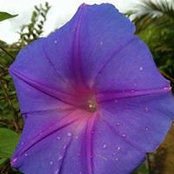 Tin Khayanpyar's photo