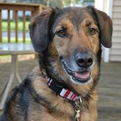 Sam Steinich's photo