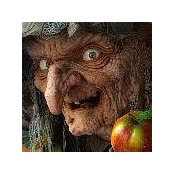 Maria Marques's photo