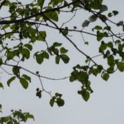 Foto von Lexi F