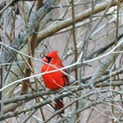 Tammy Lukenbill Watson's photo