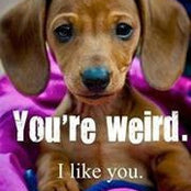 Ruby Ann Kelsey's photo