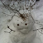 Foto von Nancy Lulic