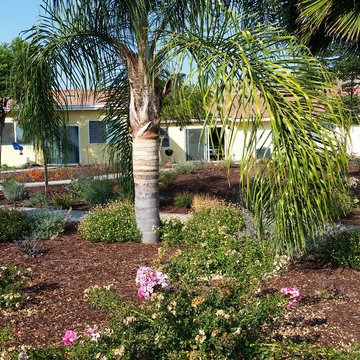A Backyard Oasis