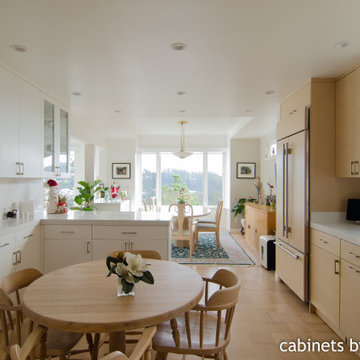 Proj 44 - San Francisco Kitchen Remodel - Modern - Sollera