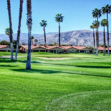 DK Design - Palm Desert Flips Out!