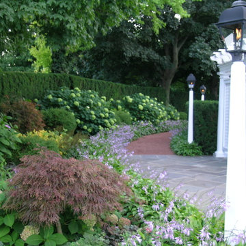 Maple Walk