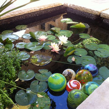 rainwater